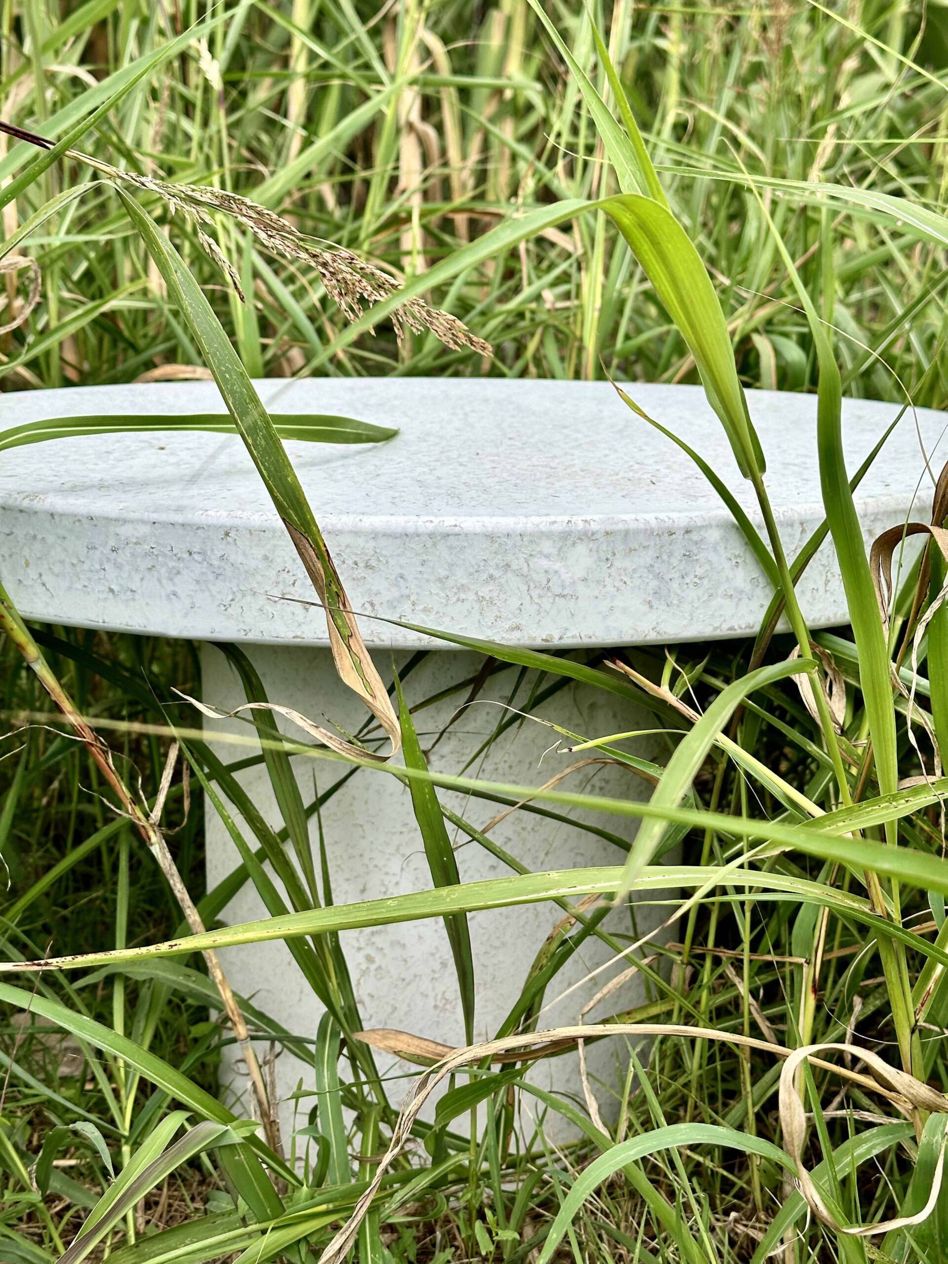 mesa nature centro jardin Mesa Nature de centro redonda - 70 cm - Imagen 19